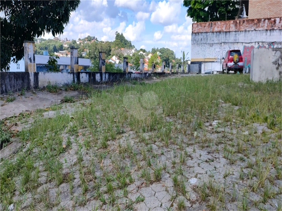 Venda Terreno São Paulo Vila Albertina 1