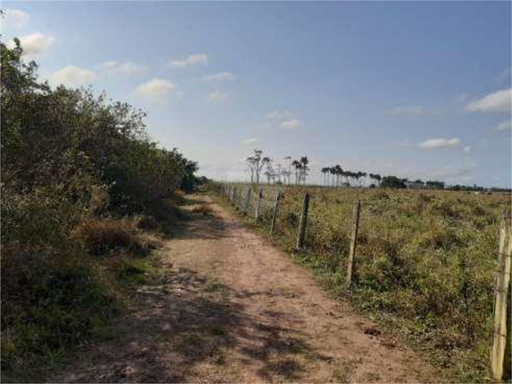 Venda Sítio Campos Dos Goytacazes Área Rural De Campos Dos Goytacazes 1