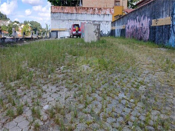 Venda Terreno São Paulo Vila Albertina 1