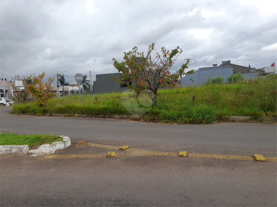 Venda Terreno Cachoeirinha Parque Da Matriz 1