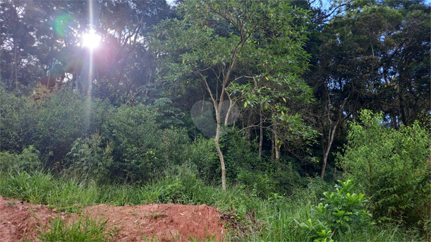 Venda Área de Terra Mairiporã Terra Preta (terra Preta) 1