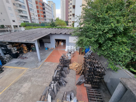 Foto REO809813