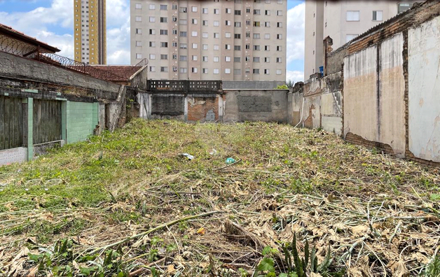 Venda Terreno São Paulo Maranhão 1