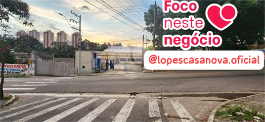 Foto REO816328