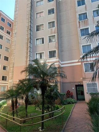 Venda Apartamento São Paulo Jardim Lallo 1