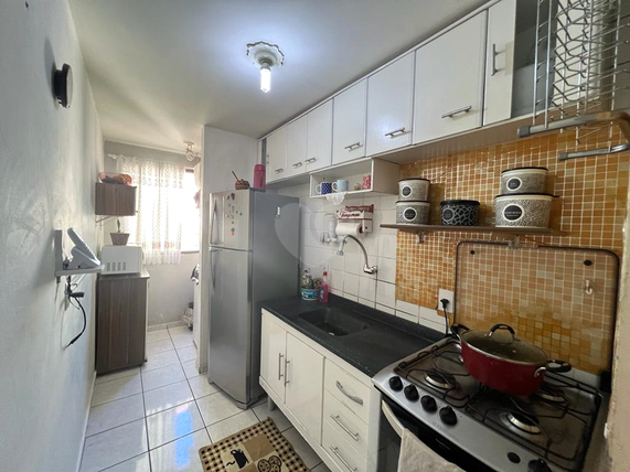 Venda Apartamento São Paulo Jardim Francisco Mendes 1