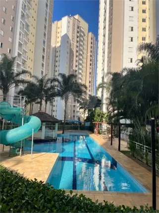 Venda Apartamento Campinas Swift 1