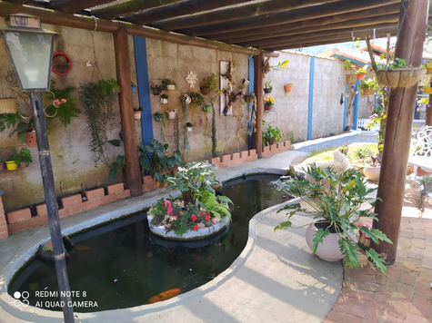 Foto REO833072