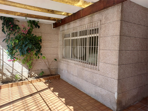Foto REO837037