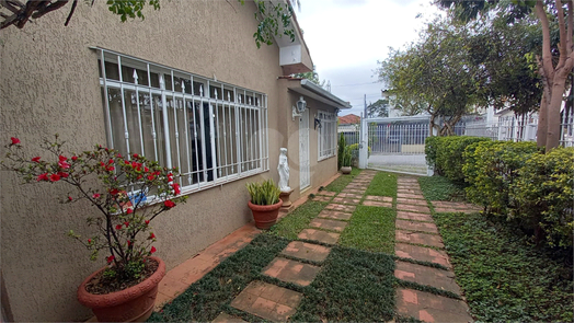 Foto REO846274