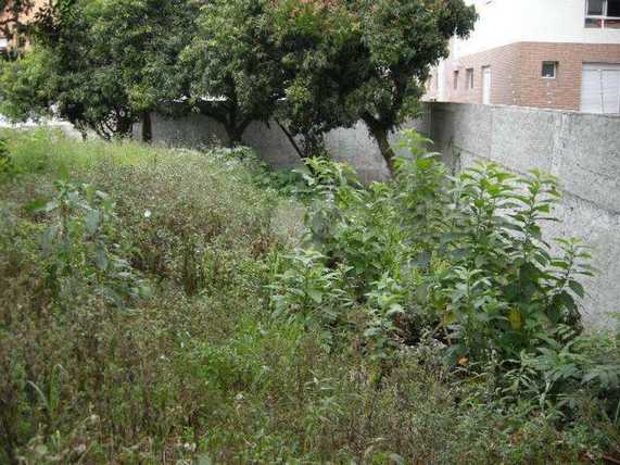 Venda Terreno São Paulo Vila Progredior 1