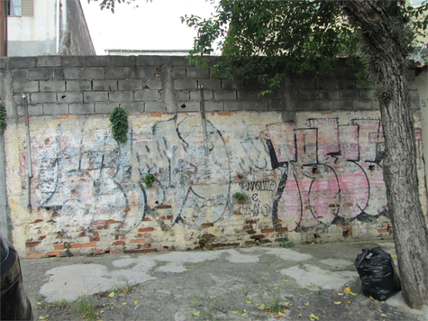 Foto REO870052