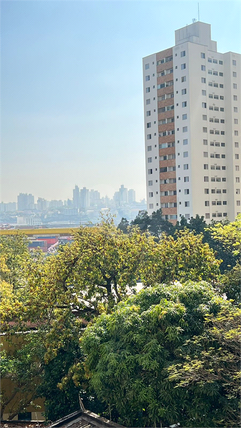 Venda Apartamento São Paulo Ipiranga 1