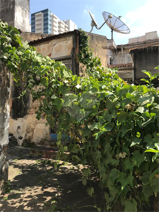 Venda Terreno São Paulo Barra Funda 1