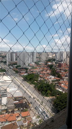 Aluguel Apartamento São Paulo Vila Santa Catarina 1