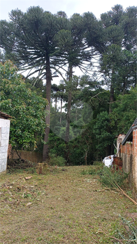 Venda Terreno Curitiba Pinheirinho 1