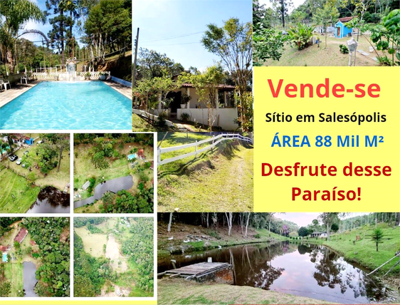 Venda Chácara Salesópolis Centro 1