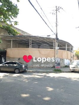 Foto REO913537