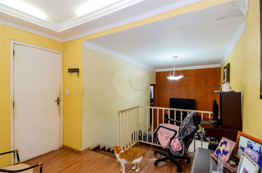 Foto REO917746
