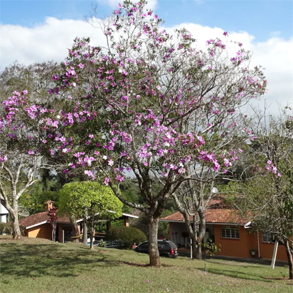 Venda Chácara São Roque Centro (são João Novo) 1