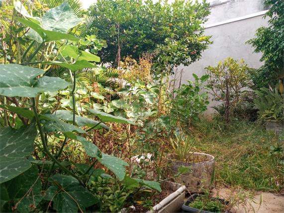 Venda Casa térrea São Paulo Vila Ipojuca 1