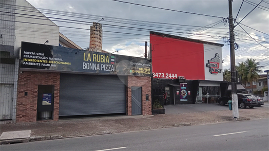 Foto REO924091