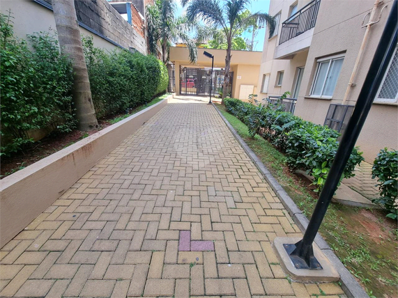 Venda Apartamento Osasco Padroeira 1