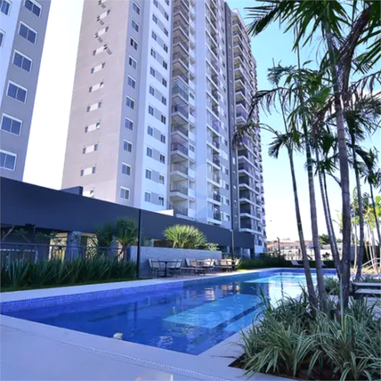 Aluguel Apartamento São Paulo Parque São Domingos 1