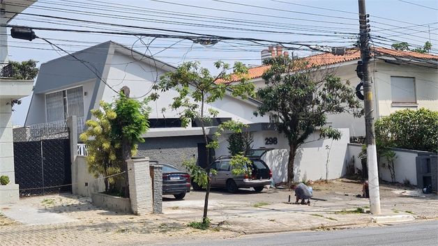 Foto REO933803