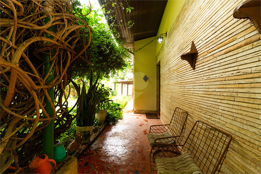 Foto REO936494