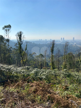 Venda Terreno Embu Prado Rangel 1