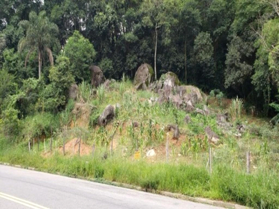 Venda Terreno São Paulo Jardim Peri 1