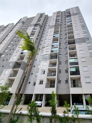 Venda Apartamento Campinas Bonfim 1