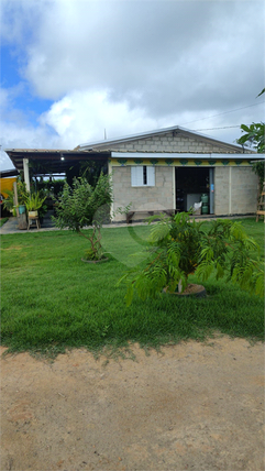 Venda Chácara Sinop Área Rural De Sinop 1