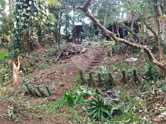 Venda Terreno São Paulo Vila Amélia 1