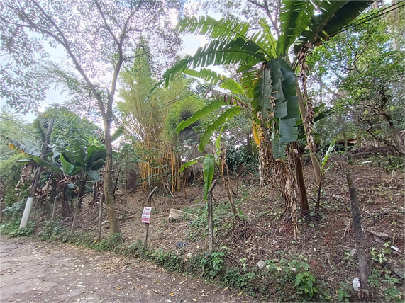 Venda Terreno São Paulo Vila Amélia 1