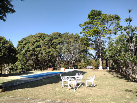 Foto REO978172