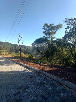 Bosque da Represa