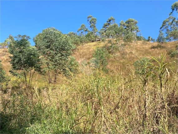 Venda Terreno São Roque Caete (mailasqui) 1