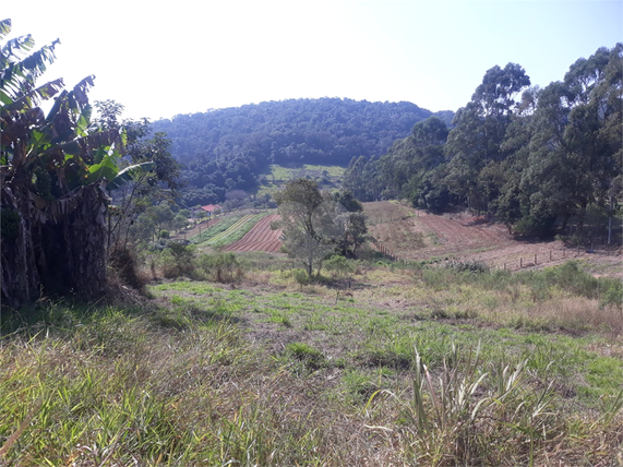 Venda Terreno São Roque Centro (canguera) 1