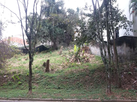 Foto REO996217