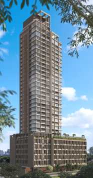 Eleva Harmonia São Paulo Sumarezinho 1