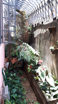 Venda Casa térrea São Paulo Vila Clementino 1