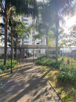 Patio Boulevard