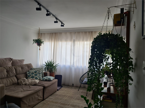 Venda Apartamento São Paulo Vila Monumento 1