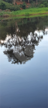 Venda Chácara Abadiânia Fazenda Mariká 1