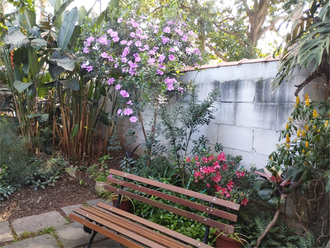 jardim