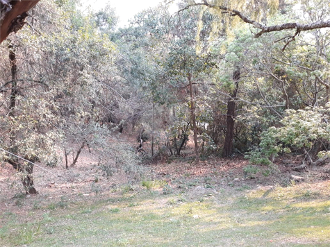 Venda Terreno São Roque Vila Santo Antônio 1