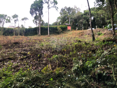 Venda Terreno Campos Do Jordão Vila Inglesa 1