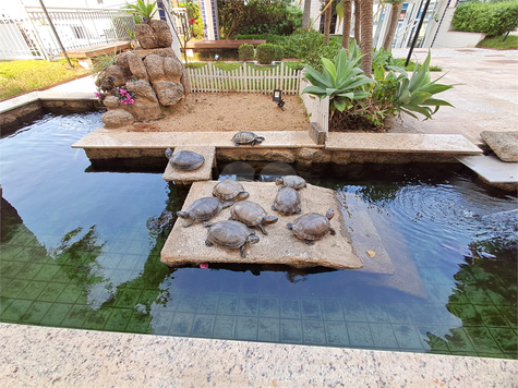 Venda Apartamento São Paulo Vila Isolina Mazzei 1